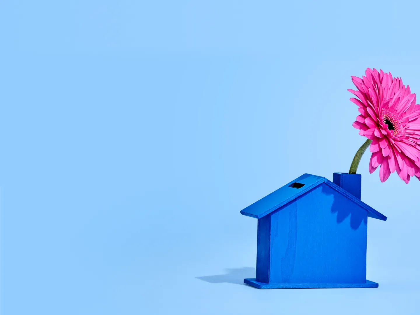 Blauw vogelhuisje op een blauwe achtergrond met een roze bloem die uit het huisje steekt